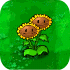 TwinSunflower