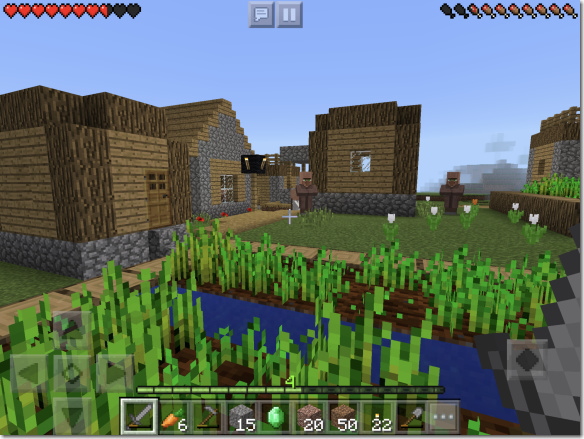 Minecraft 村の畑